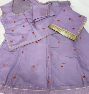 Upada silk Aari Resham Handwork Poshak